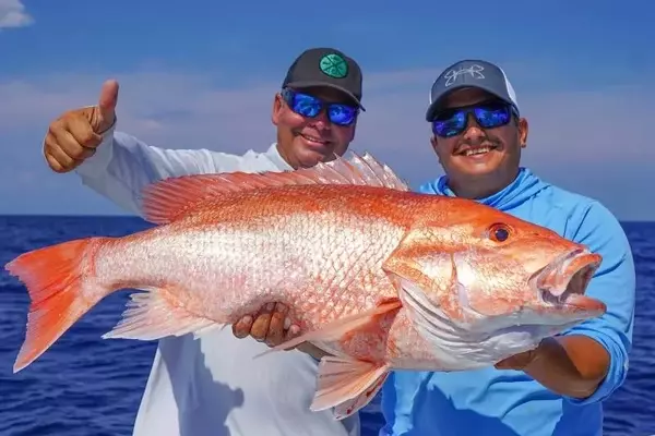 Fall Red Snapper Fishing Seasons in the South Atlantic: Key Details for Anglers