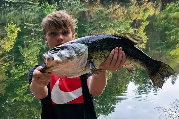 Teenager Lands Enormous Largemouth Bass with Basic Gear