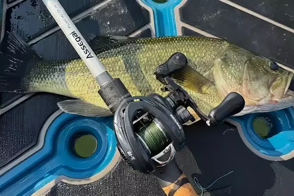 KastKing Al-Ti Elite: A New Standard in Baitcasting Performance