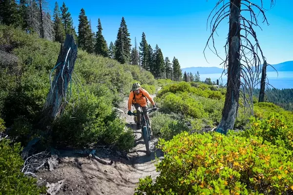 Generous Donation Paves the Way for Completion of Iconic Lake Tahoe Mountain Bike Loop