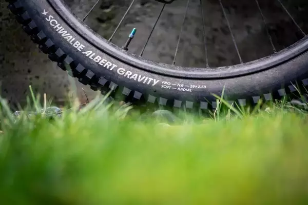 Exploring the Emergence of Radial Mountain Bike Tires: A Community Survey