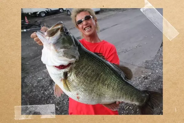 Unveiling the World's Most Impressive Bass Catches