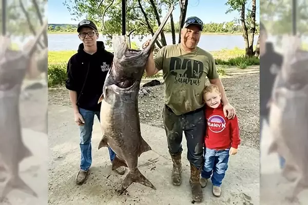 Montana Angler Catches Record Paddlefish Tagged 22 Years Ago