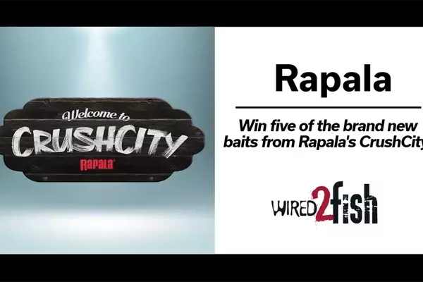 Rapala CrushCity Bait Winners Announced and New Product Features Revealed