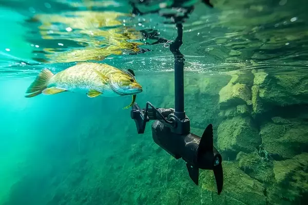 Top Trolling Motors for Anglers: A Comprehensive 2026 Guide