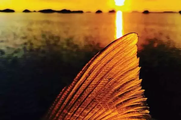 Top Urban Fishing Destinations