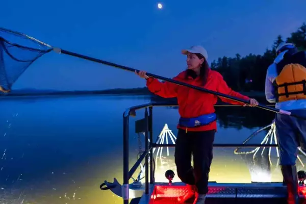 Contagious Cancer Found in Vermont Catfish