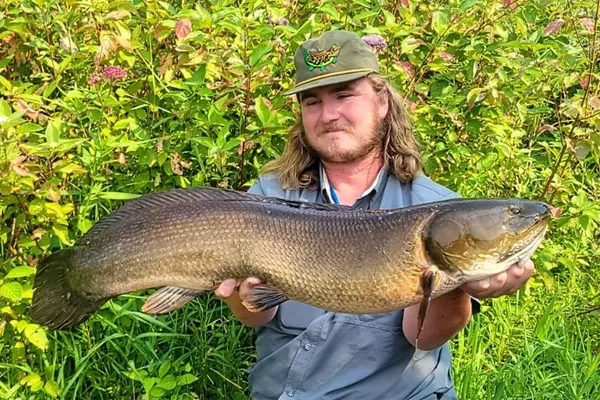 Minnesota Angler Breaks Own Bowfin Record