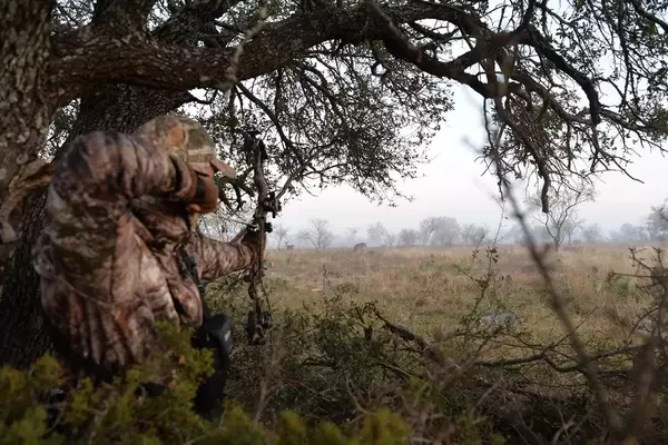 Deer Hunting Without Bait: Strategies for Success