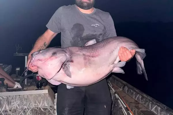 West Virginia Angler Catches Record-Breaking Blue Catfish