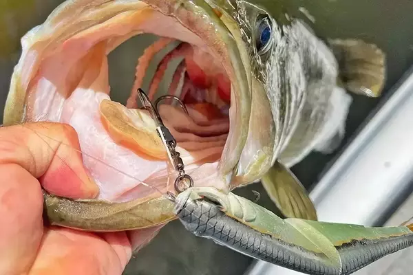 Optimal Lures for September Bass Fishing Across Regions