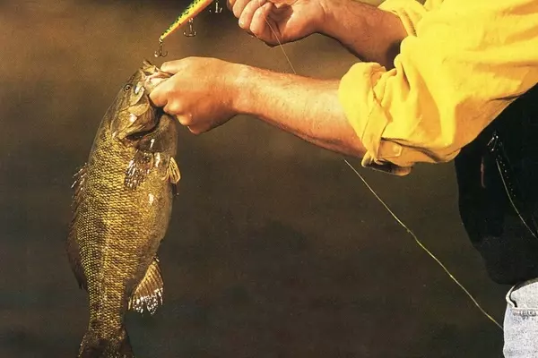 Mastering Fall Smallmouth Bass Fishing: Strategies and Lures