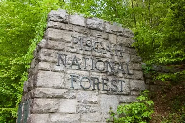 USDA Proposal Threatens 58 Million Acres of National Forest Trail Systems