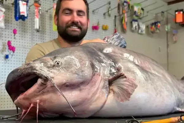 Angler Catches Record-Breaking Blue Catfish in Ohio River, Eyes $20,000 Prize