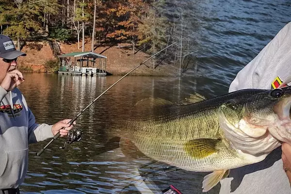 Retrieving Snagged Fishing Lures: Effective Techniques for Anglers