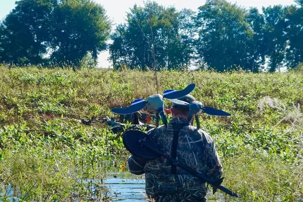 Advanced Teal Hunting Strategies for Early Season Success