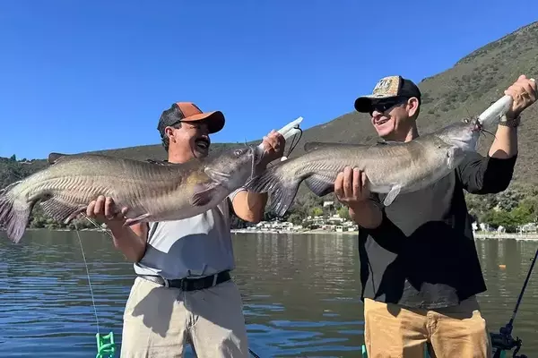 Clear Lake: A Catfish Paradise Despite Bass Dominance