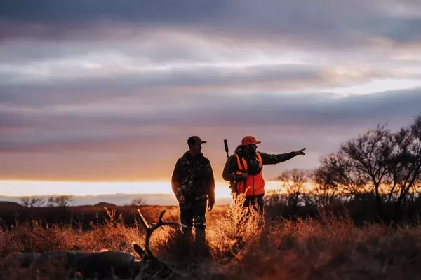Southern States Emerge as Key Players in Whitetail Deer Hunting