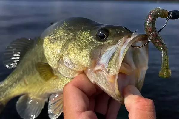 Lake Fork Pro Craw & Pro Craw Mini: The Ultimate Flipping Bait Review