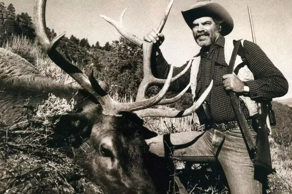 Comprehensive Guide to Elk Hunting Strategies Throughout the Season