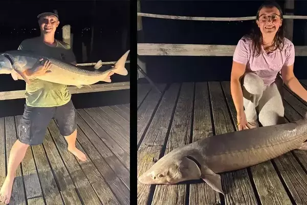 Sturgeon Fishing on St. Clair River: A Thrilling Experience