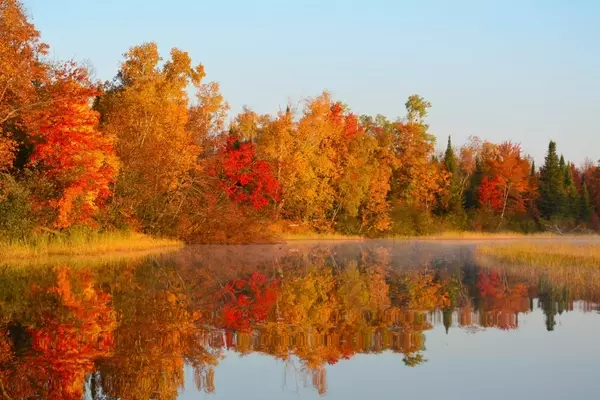 Top 5 Trails to Witness Autumn's Golden Transformation