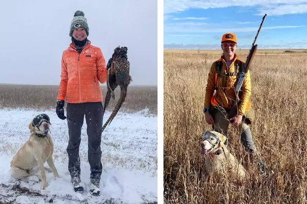 Optimal Care for Hunting Dogs: Maximizing Performance and Longevity