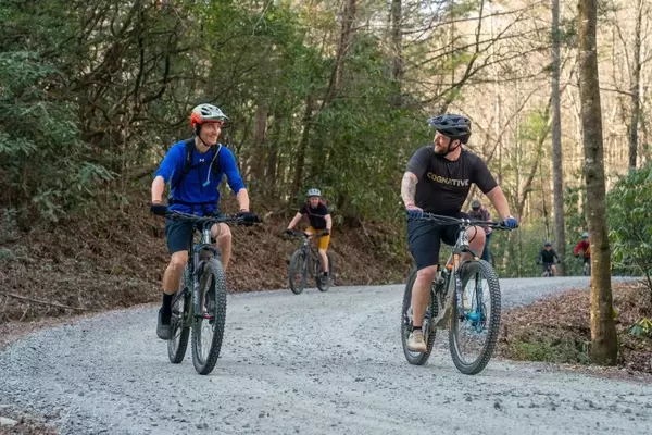 Bicycles as a Sanctuary in the Age of AI