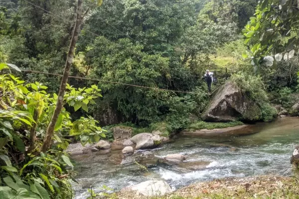 Realizing a Lifelong Dream: Exploring Tropical Rainforests