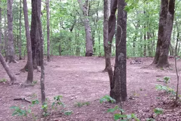 The Evolution of Appalachian Trail Shelters: Adapting to Modern Usage and Environmental Needs