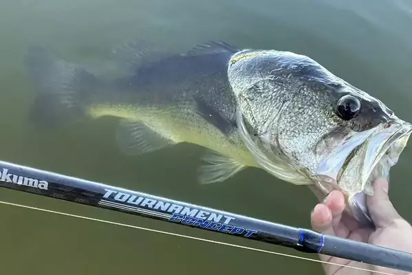 Okuma's Tournament Concept Bass Rod B Series: A Comprehensive Review
