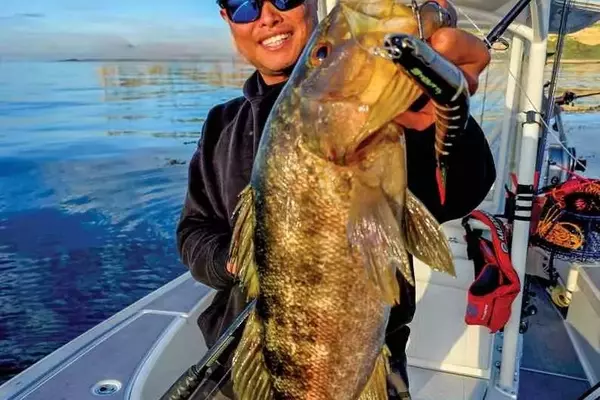Mastering Calico Bass Fishing with Surface Lures: A Guide to Year-Round Success
