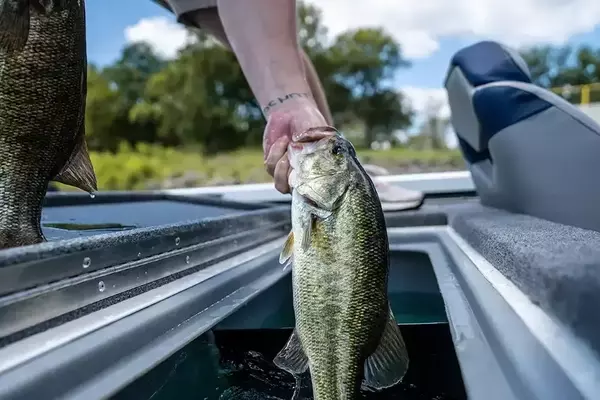 Angler Disqualified, Banned for Cheating in Championship
