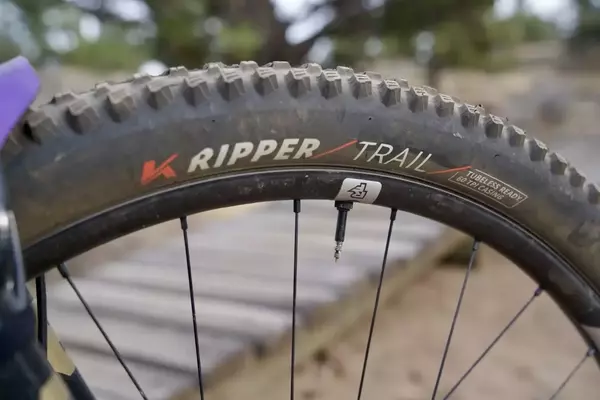 Kenda Ripper Trail Tire: Speed Meets Traction