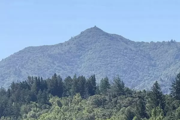 Marin County's Mountain Biking Renaissance: A Decades-Long Struggle for Trail Access