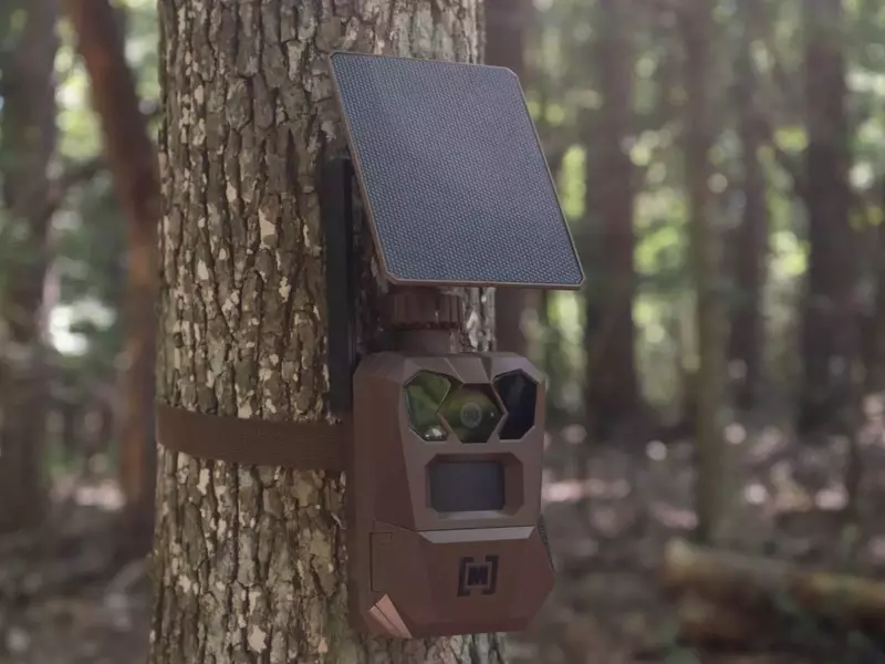 Comprehensive Guide to Utilizing Trail Cameras for Deer Hunting