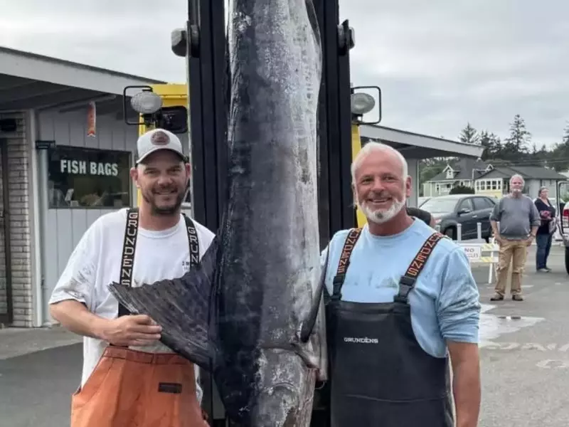Washington Angler Lands Record-Breaking Striped Marlin