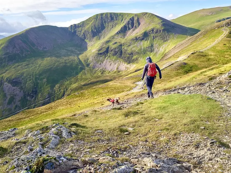 Mastering Mountain Descents: A Training Guide for Hikers